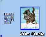 Atim Studio Flash исходник 3