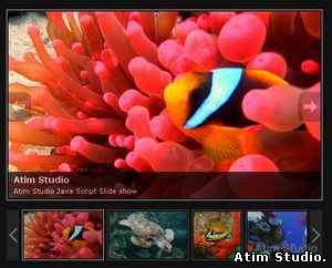 Atim Studio Flash флеш исходник Web Album Image Gallery