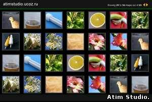 Web XML Image Gallery Flash