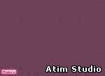 Atim Studio Flash исходник:1