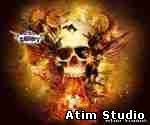 Atim Studio Flash Template Skull