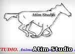 Atim Studio Flash