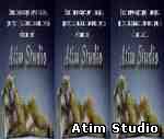 Atim Studio Flash