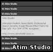 Atim Studio Flash