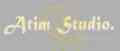 Atim Studio Flash