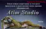 Atim Studio Flash