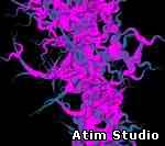 Atim Studio Flash