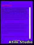 Atim Studio Flash