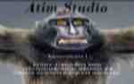 Atim Studio Flash