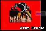 Atim Studio Flash