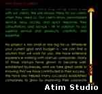 Atim Studio Flash