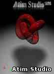 Atim Studio Flash