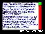 Atim Studio Flash