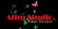 Atim Studio Flash