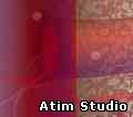 Atim Studio Flash