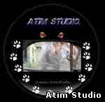Atim Studio Flash