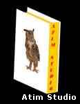 Atim Studio Flash