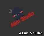 Atim Studio Flash