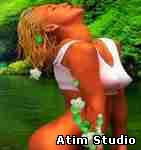 Atim Studio Flash