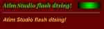 Atim Studio Flash